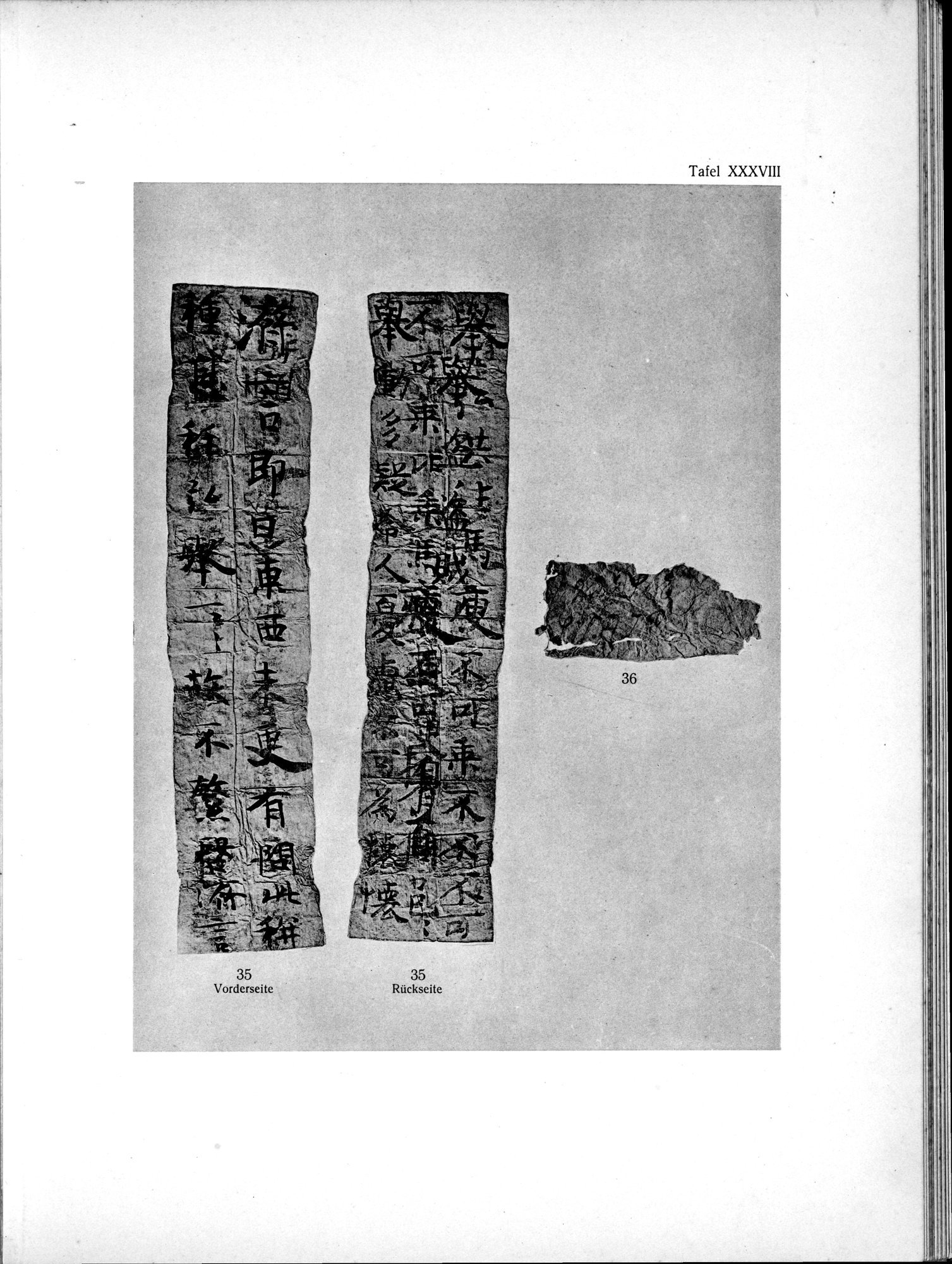 Die Chinesischen Handschriften- und sonstigen Kleinfunde Sven Hedins in Lou-lan : vol.1 / Page 295 (Grayscale High Resolution Image)