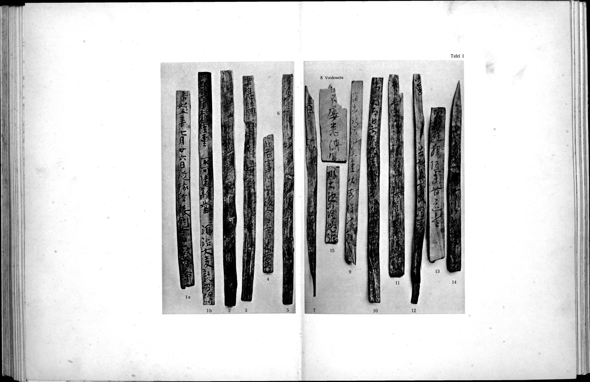 Die Chinesischen Handschriften- und sonstigen Kleinfunde Sven Hedins in Lou-lan : vol.1 / 299 ページ（白黒高解像度画像）