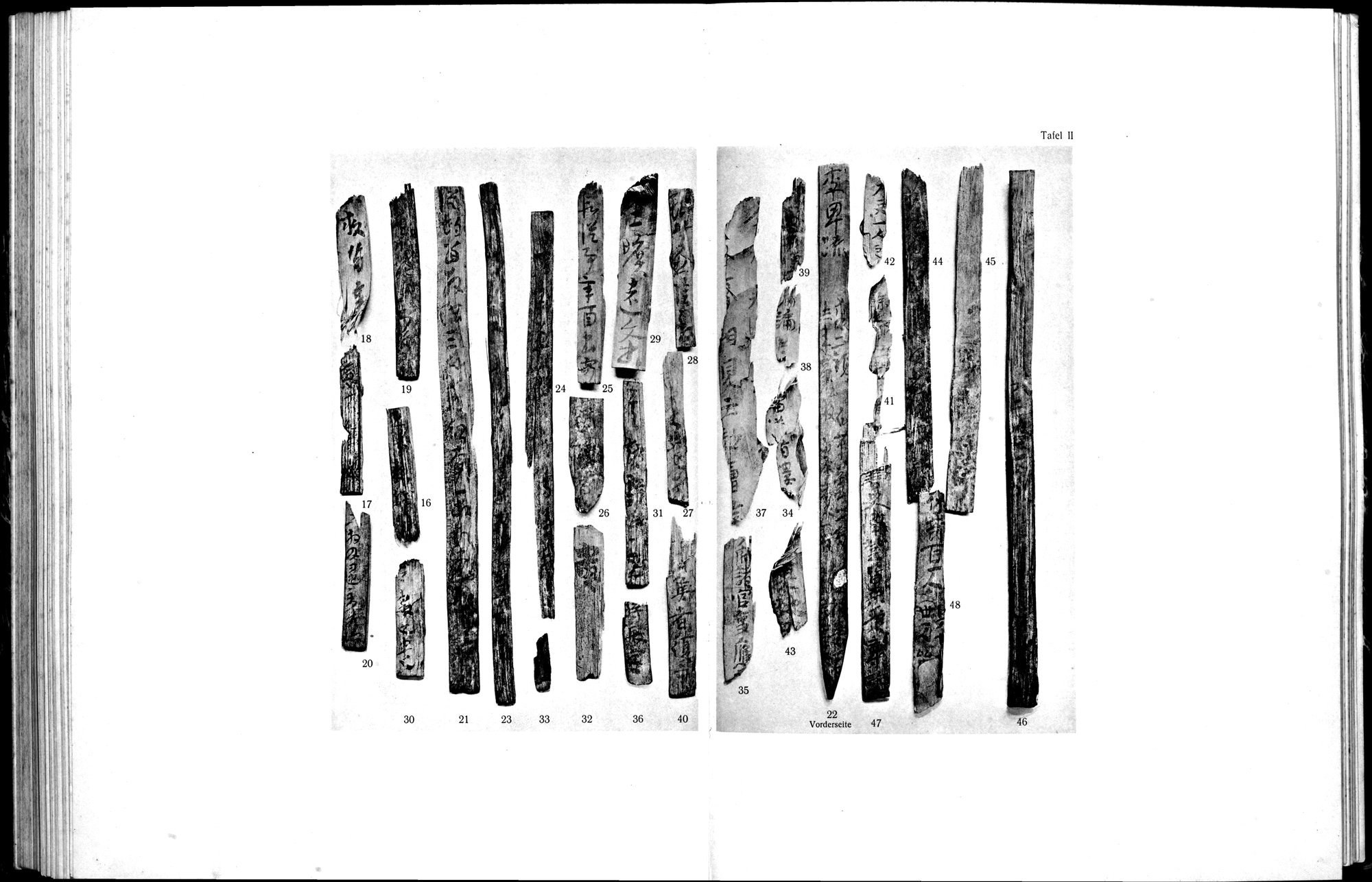Die Chinesischen Handschriften- und sonstigen Kleinfunde Sven Hedins in Lou-lan : vol.1 / 300 ページ（白黒高解像度画像）