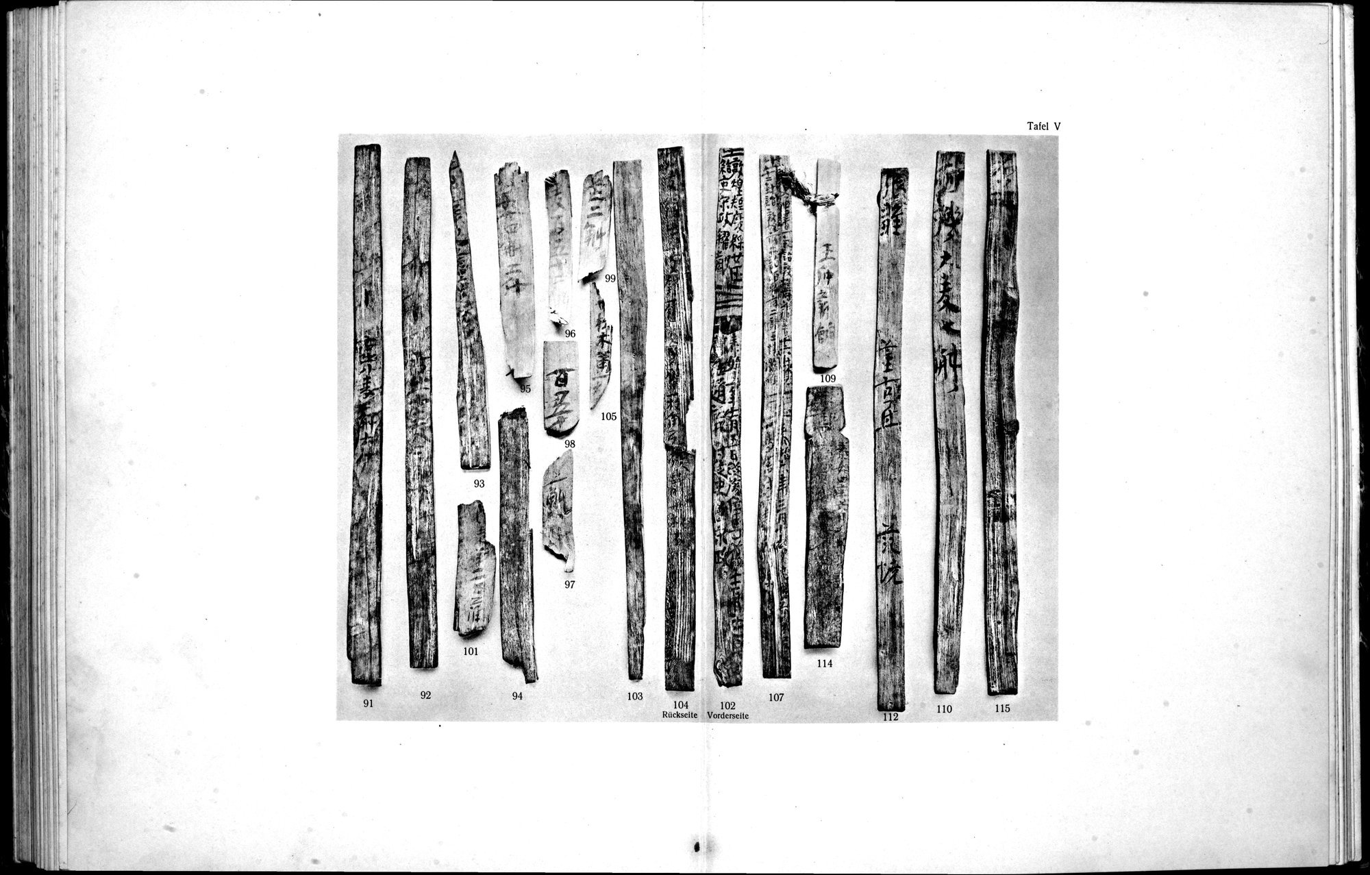 Die Chinesischen Handschriften- und sonstigen Kleinfunde Sven Hedins in Lou-lan : vol.1 / 303 ページ（白黒高解像度画像）