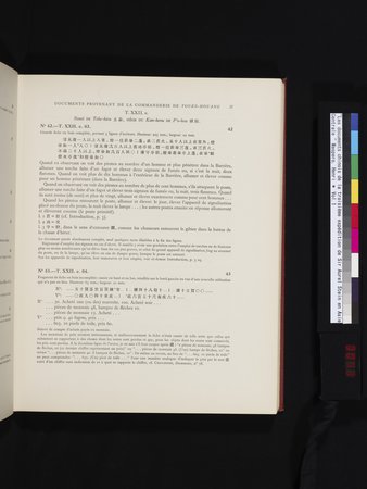 Les documents chinois de la troisième expédition de Sir Aurel Stein en Asie Centrale : vol.1 : Page 43