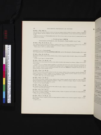 Les documents chinois de la troisième expédition de Sir Aurel Stein en Asie Centrale : vol.1 : Page 196