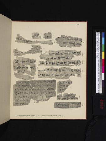 Les documents chinois de la troisième expédition de Sir Aurel Stein en Asie Centrale : vol.1 : Page 309