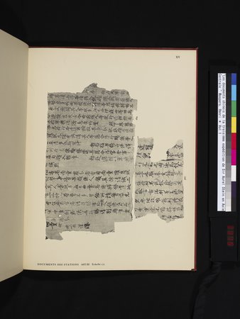 Les documents chinois de la troisième expédition de Sir Aurel Stein en Asie Centrale : vol.1 : Page 315
