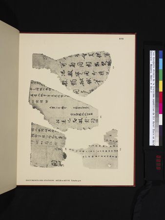 Les documents chinois de la troisième expédition de Sir Aurel Stein en Asie Centrale : vol.1 : Page 319