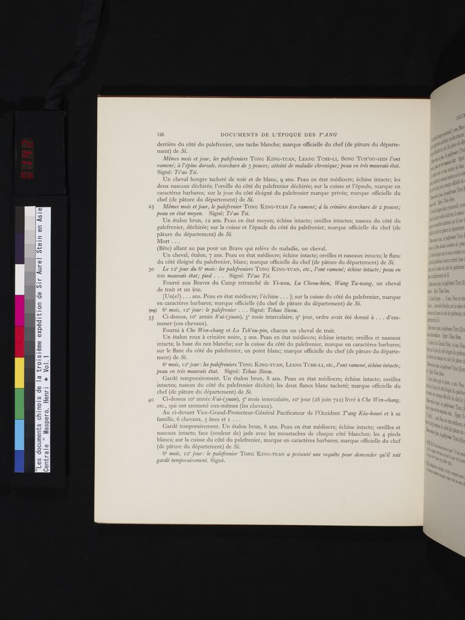 Les documents chinois de la troisième expédition de Sir Aurel Stein en Asie Centrale : vol.1 / Page 142 (Color Image)