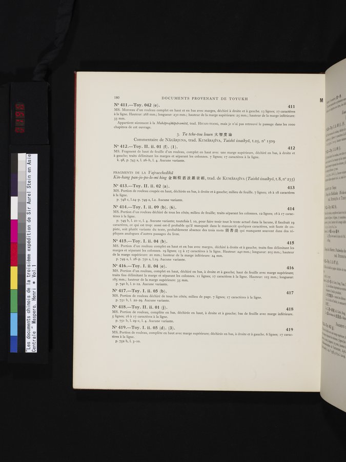 Les documents chinois de la troisième expédition de Sir Aurel Stein en Asie Centrale : vol.1 / Page 196 (Color Image)
