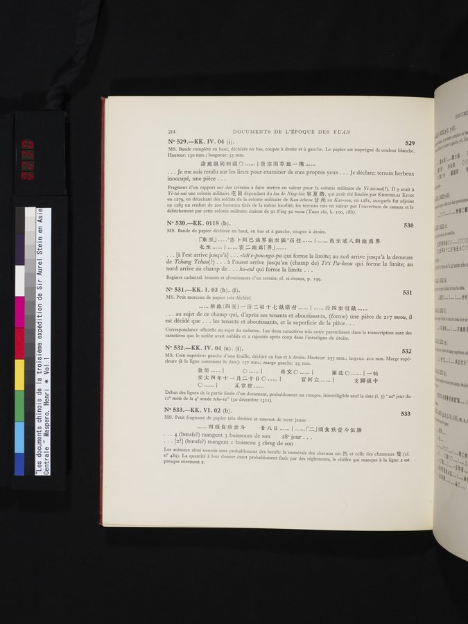 Les documents chinois de la troisième expédition de Sir Aurel Stein en Asie Centrale : vol.1 / Page 230 (Color Image)