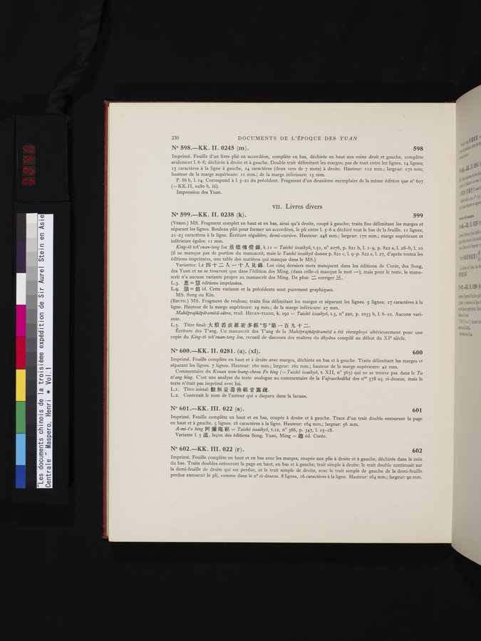 Les documents chinois de la troisième expédition de Sir Aurel Stein en Asie Centrale : vol.1 / 246 ページ（カラー画像）