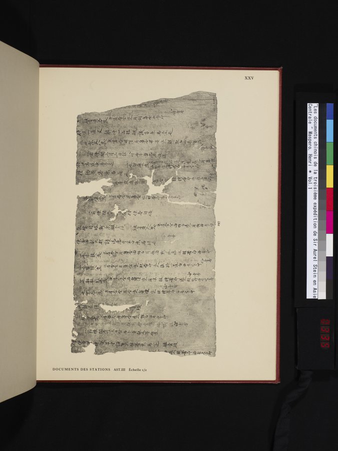 Les documents chinois de la troisième expédition de Sir Aurel Stein en Asie Centrale : vol.1 / Page 335 (Color Image)