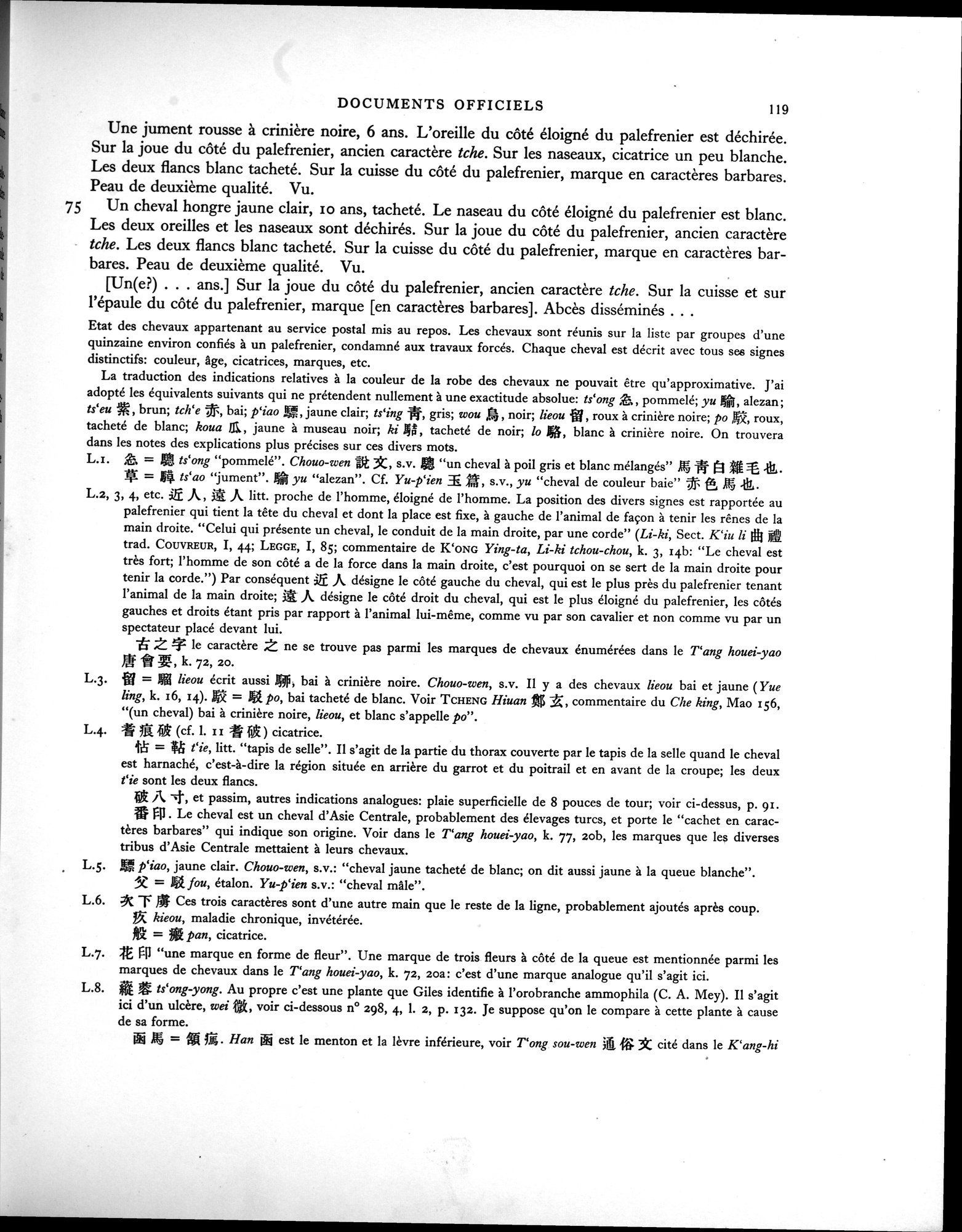 Les documents chinois de la troisième expédition de Sir Aurel Stein en Asie Centrale : vol.1 / Page 135 (Grayscale High Resolution Image)