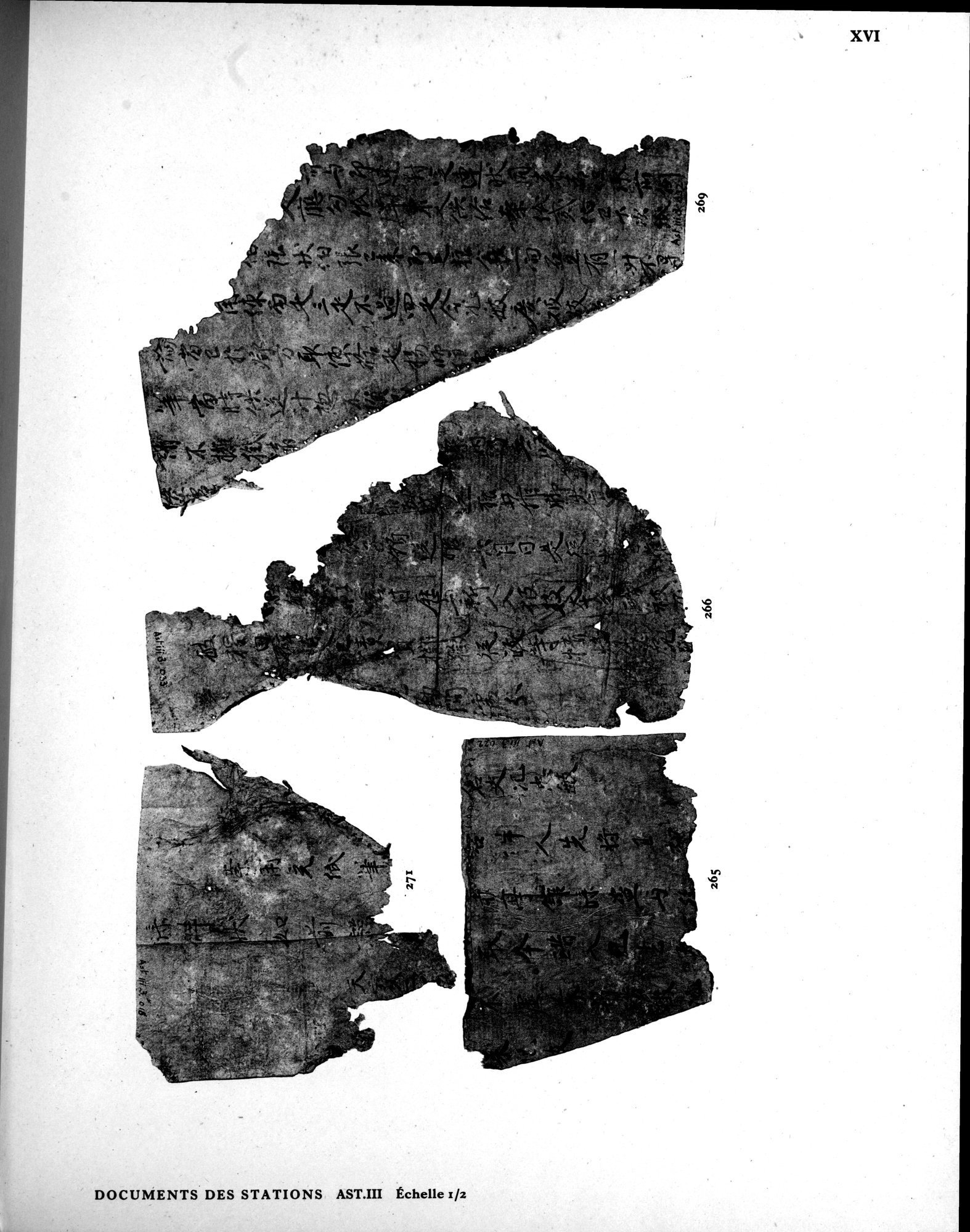 Les documents chinois de la troisième expédition de Sir Aurel Stein en Asie Centrale : vol.1 / Page 317 (Grayscale High Resolution Image)