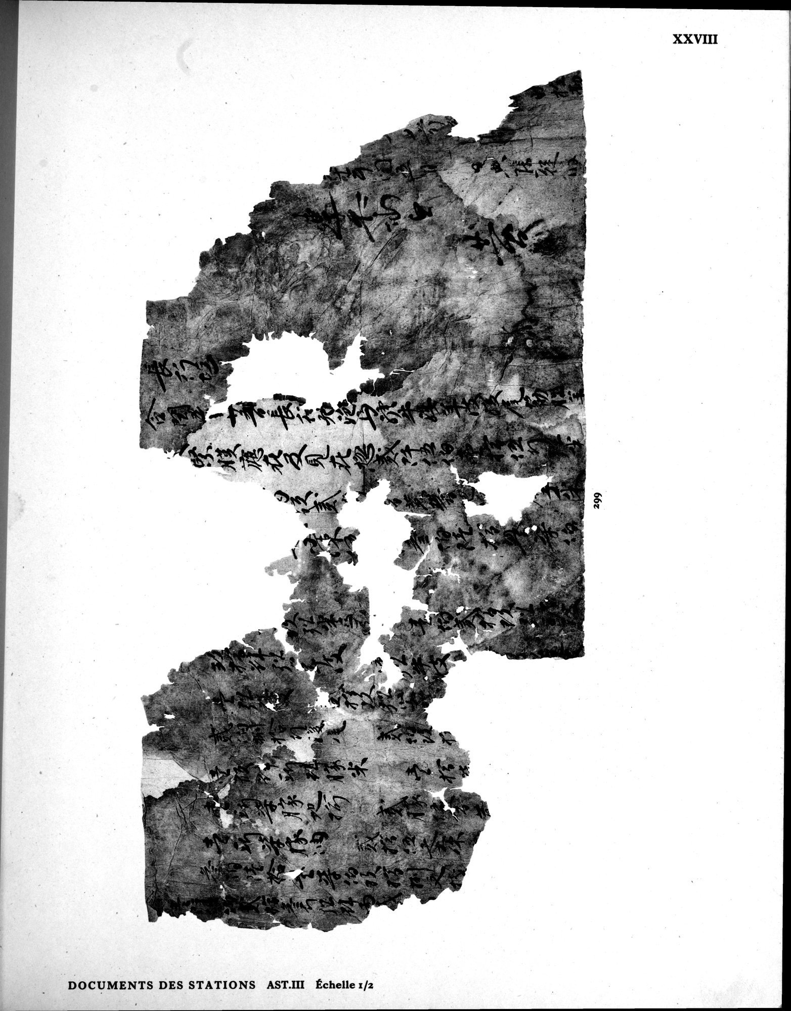 Les documents chinois de la troisième expédition de Sir Aurel Stein en Asie Centrale : vol.1 / 341 ページ（白黒高解像度画像）