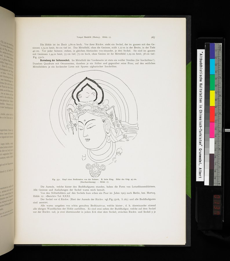 Altbuddhistische Kultstätten in Chinesisch-Turkistan : vol.1 / 273 ページ（カラー画像）