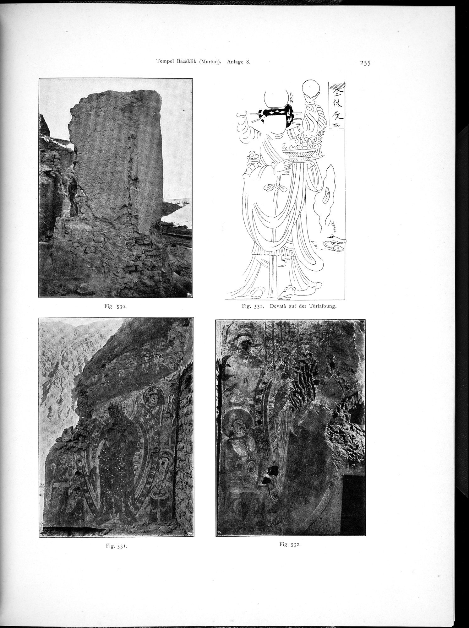 Altbuddhistische Kultstätten in Chinesisch-Turkistan : vol.1 / 261 ページ（白黒高解像度画像）
