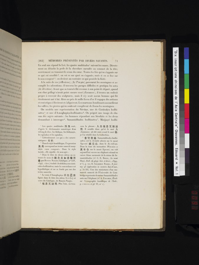 Dix Inscriptions Chinoises de l'Asie Centrale : vol.1 / 91 ページ（カラー画像）