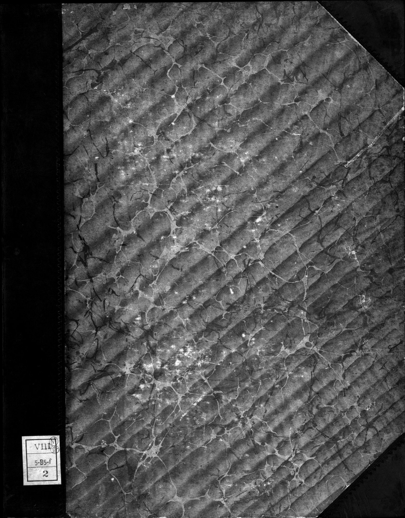 Dix Inscriptions Chinoises de l'Asie Centrale : vol.1 / 1 ページ（白黒高解像度画像）