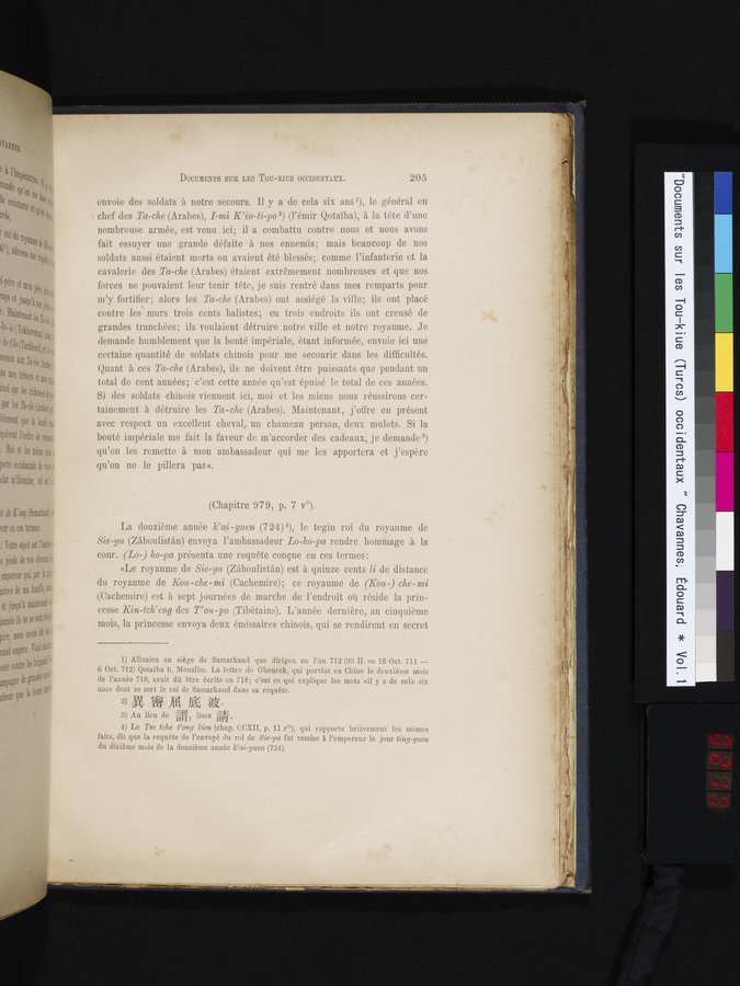 Documents sur les Tou-kiue (Turcs) occidentaux : vol.1 / 215 ページ（カラー画像）