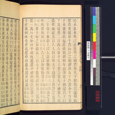 前漢書 : vol.94 bottom : Page 34