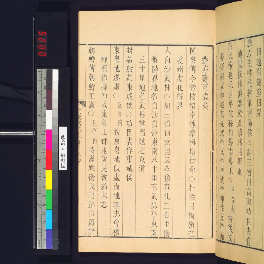 前漢書 : vol.95 / Page 49 (Color Image)
