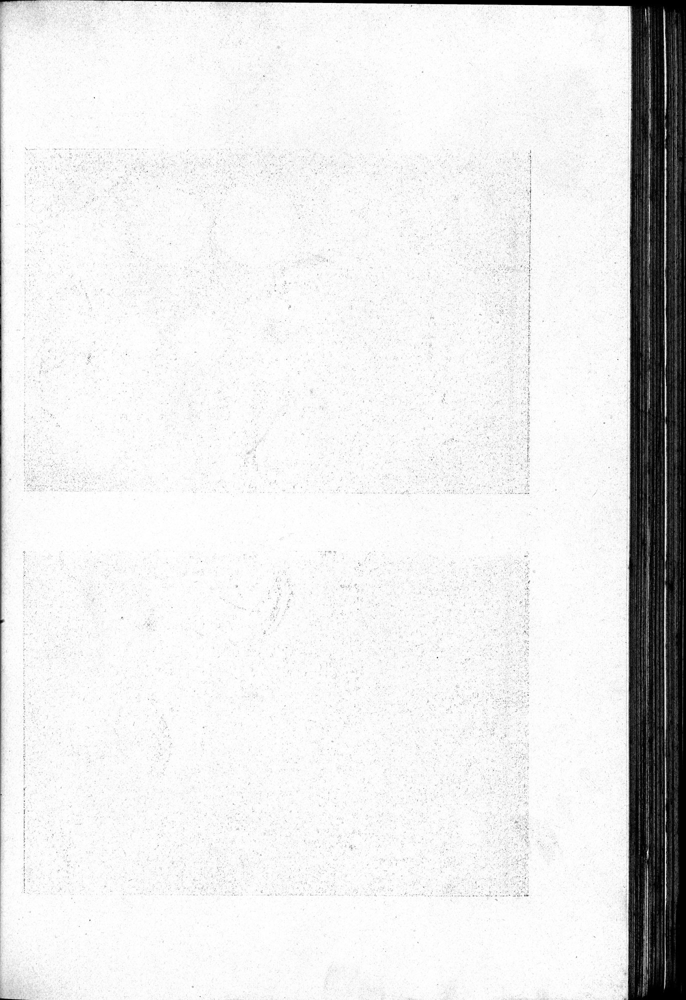 伊犂紀行 : vol.2 / 268 ページ（白黒高解像度画像）