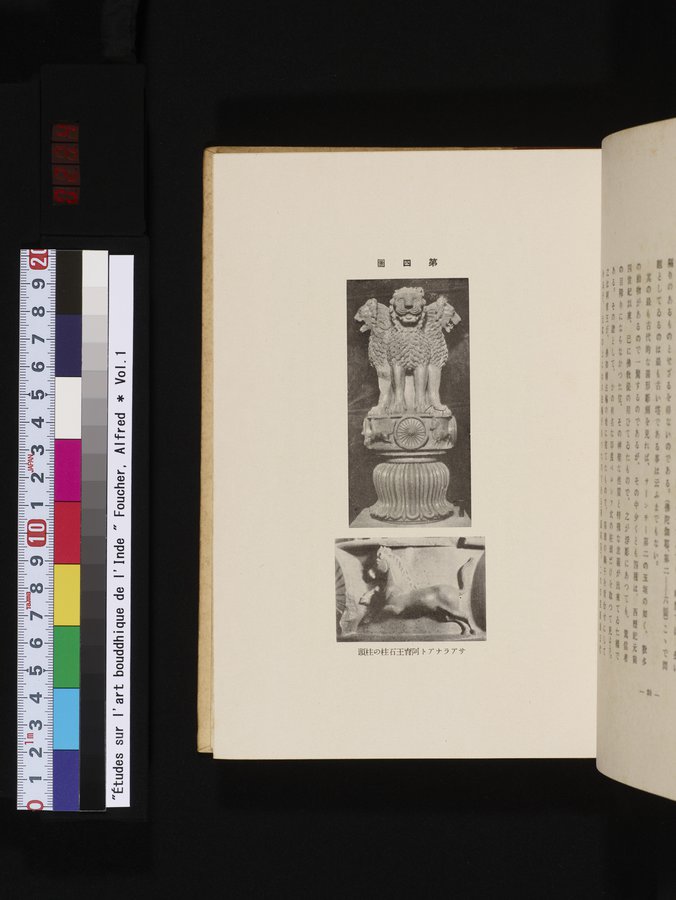 Études sur l'Art Bouddhique de l'Inde : vol.1 / 234 ページ（カラー画像）
