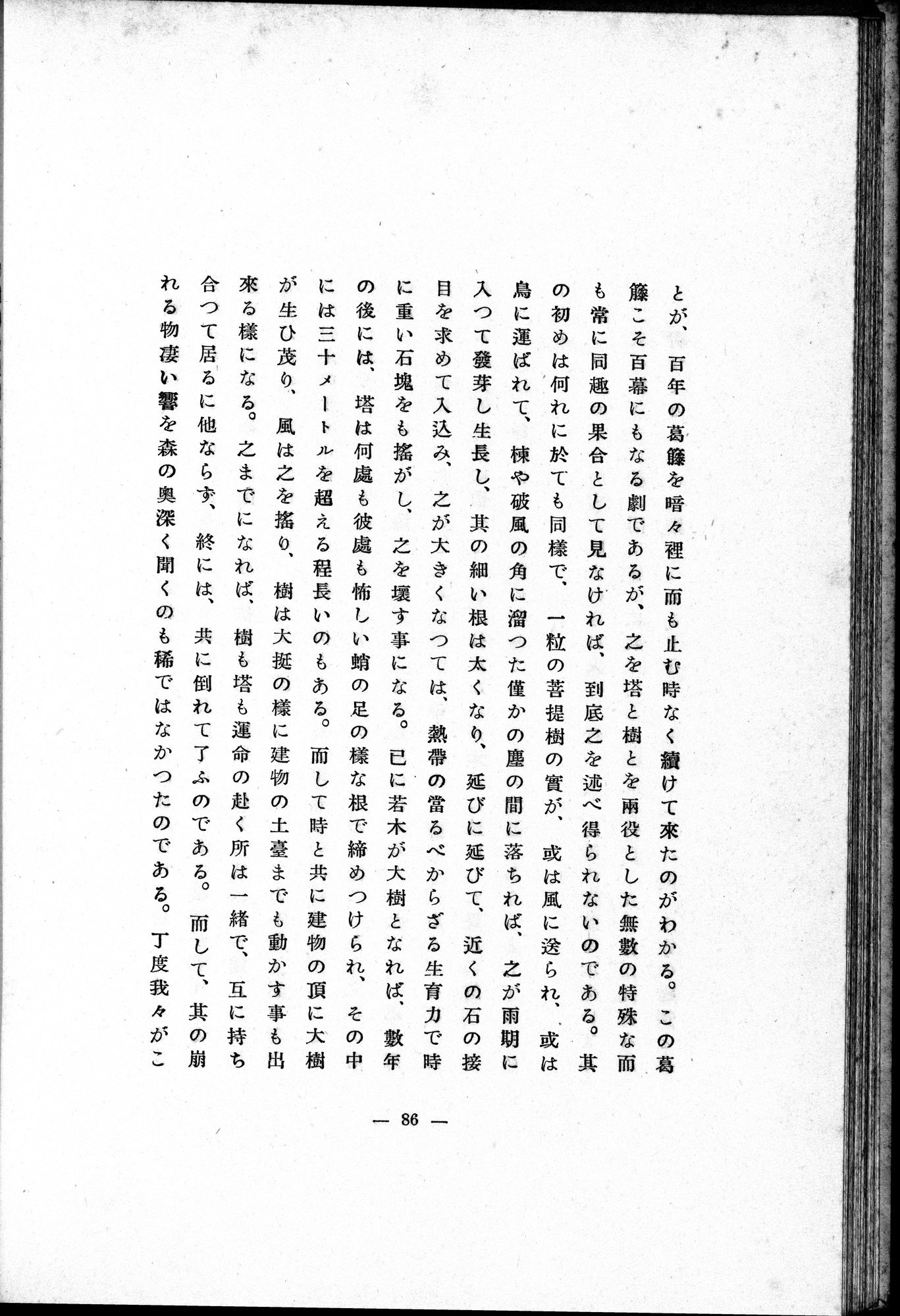 Études sur l'Art Bouddhique de l'Inde : vol.1 / Page 171 (Grayscale High Resolution Image)