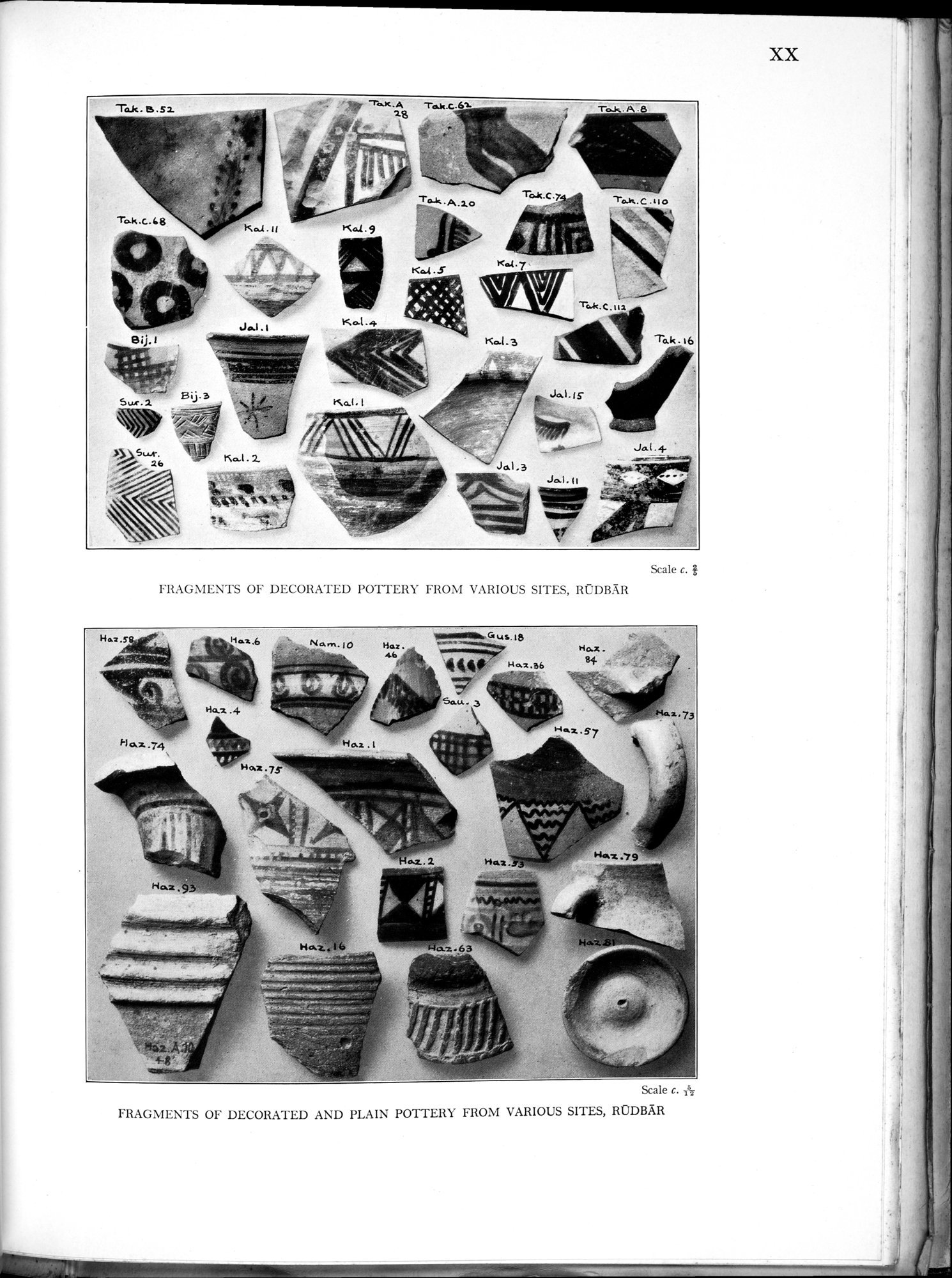 Archaeological Reconnaissances in North-Western India and South-Eastern Īrān : vol.1 / 391 ページ（白黒高解像度画像）