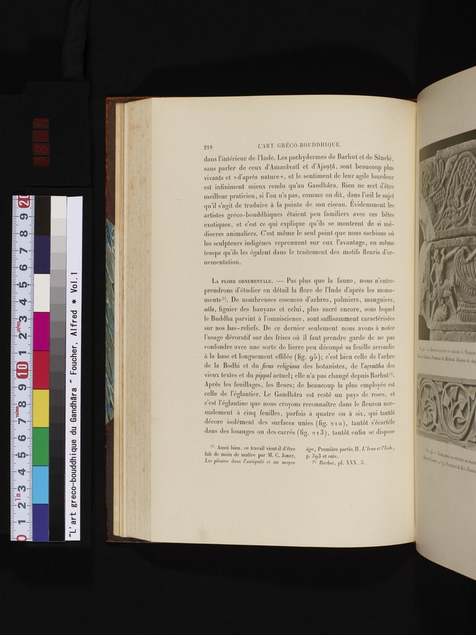L'art Greco-Bouddhique du Gandhâra : vol.1 / 244 ページ（カラー画像）