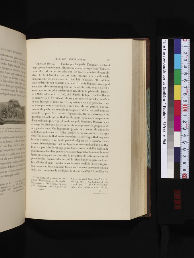 L'art Greco-Bouddhique du Gandhâra : vol.1 / 299 ページ（カラー画像）
