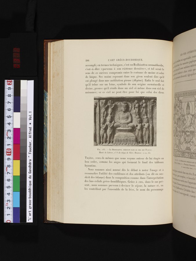 L'art Greco-Bouddhique du Gandhâra : vol.1 / Page 312 (Color Image)
