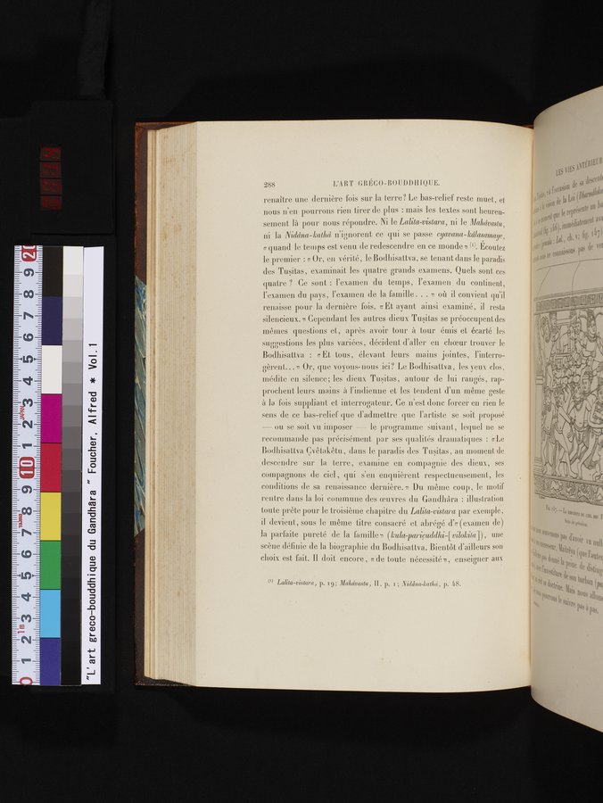 L'art Greco-Bouddhique du Gandhâra : vol.1 / 314 ページ（カラー画像）