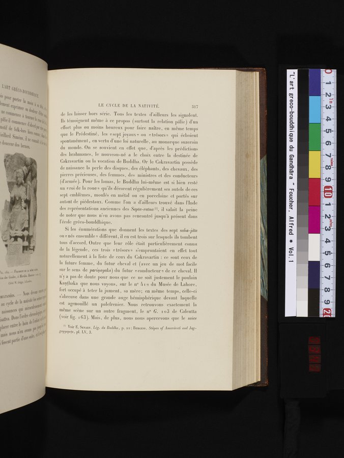 L'art Greco-Bouddhique du Gandhâra : vol.1 / 343 ページ（カラー画像）