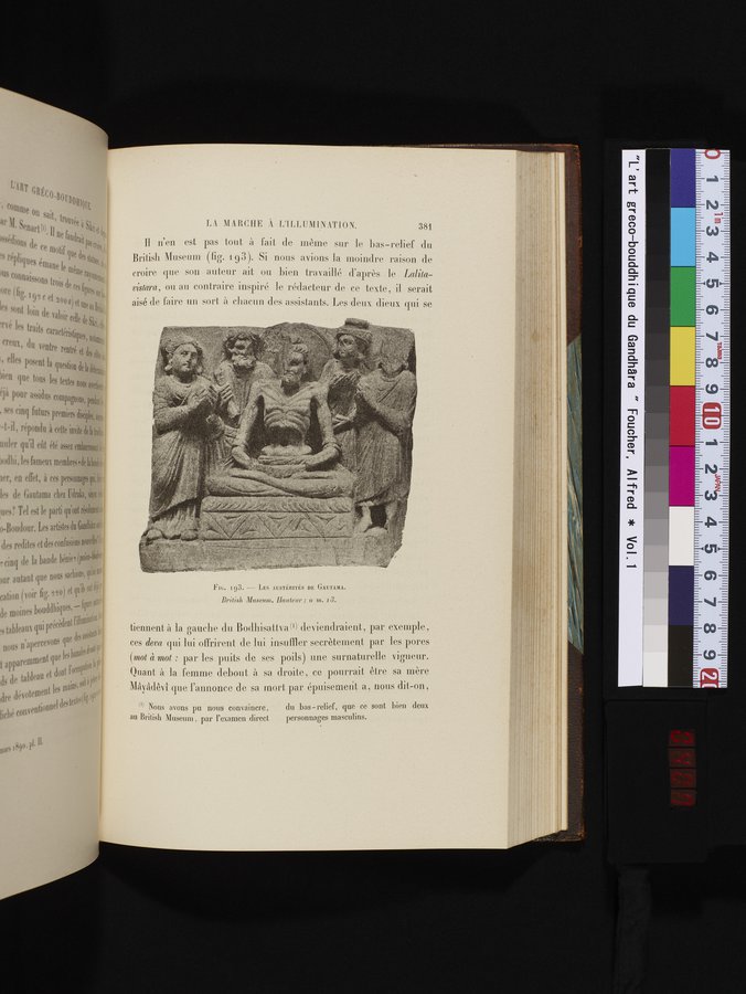 L'art Greco-Bouddhique du Gandhâra : vol.1 / 407 ページ（カラー画像）