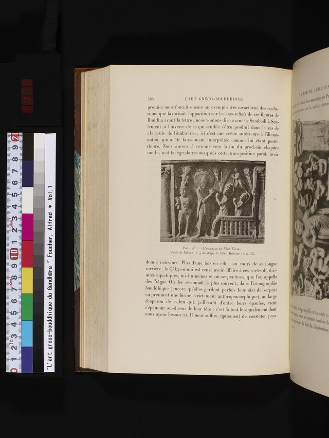 L'art Greco-Bouddhique du Gandhâra : vol.1 / 410 ページ（カラー画像）