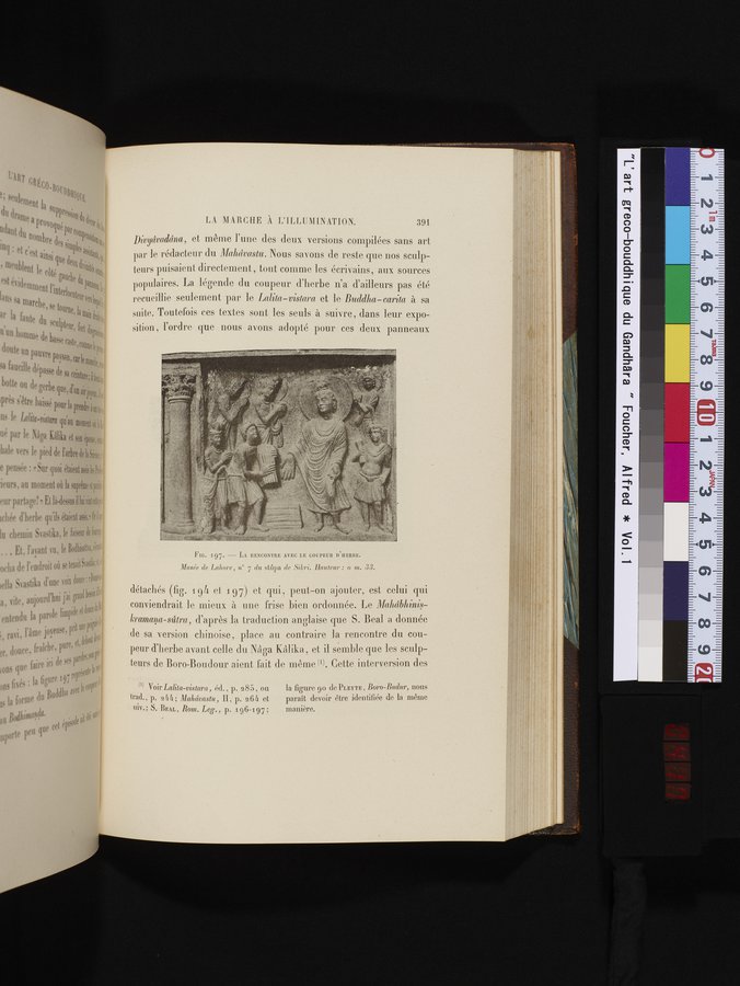 L'art Greco-Bouddhique du Gandhâra : vol.1 / 417 ページ（カラー画像）