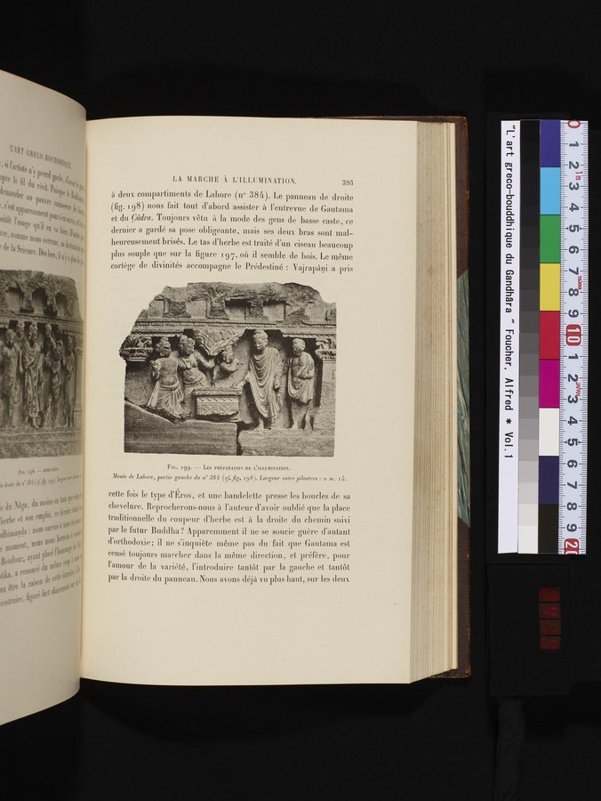 L'art Greco-Bouddhique du Gandhâra : vol.1 / Page 419 (Color Image)