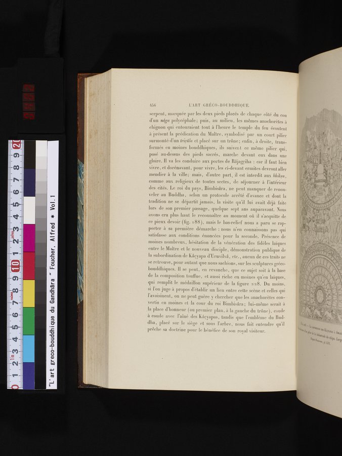 L'art Greco-Bouddhique du Gandhâra : vol.1 / Page 482 (Color Image)