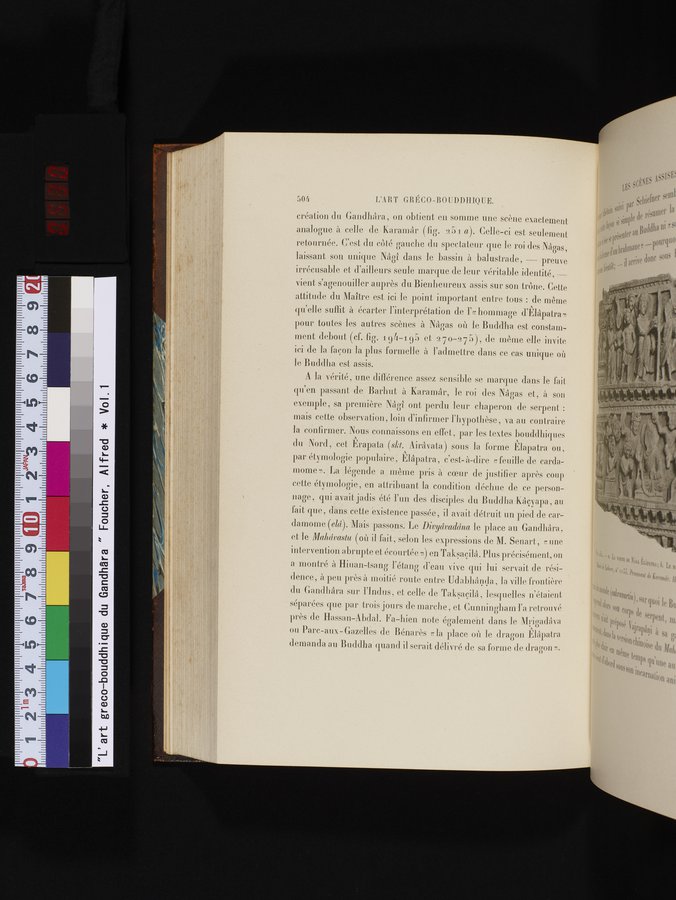L'art Greco-Bouddhique du Gandhâra : vol.1 / Page 530 (Color Image)