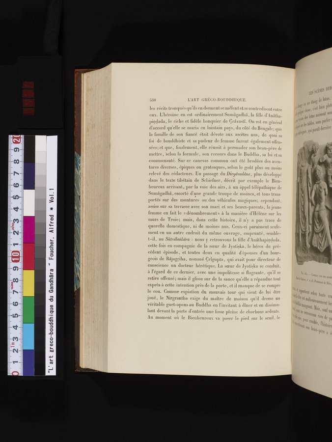 L'art Greco-Bouddhique du Gandhâra : vol.1 / Page 556 (Color Image)