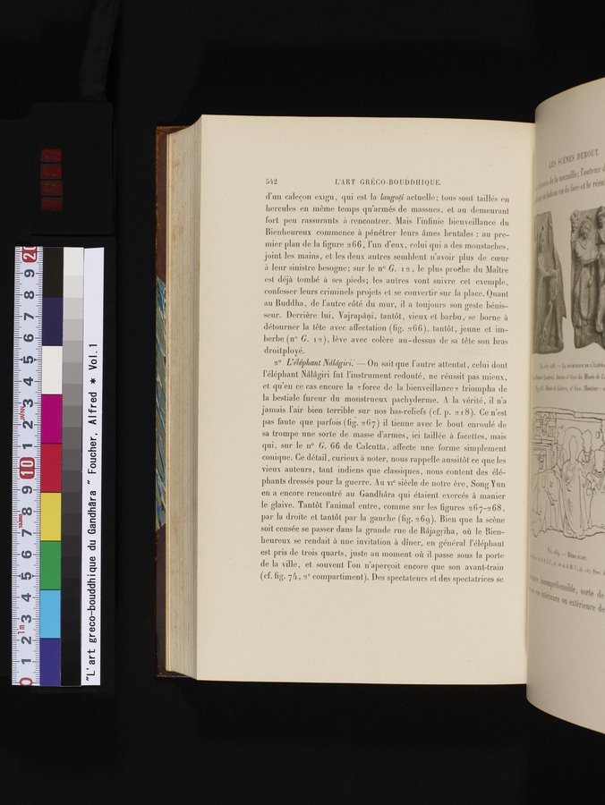 L'art Greco-Bouddhique du Gandhâra : vol.1 / Page 568 (Color Image)