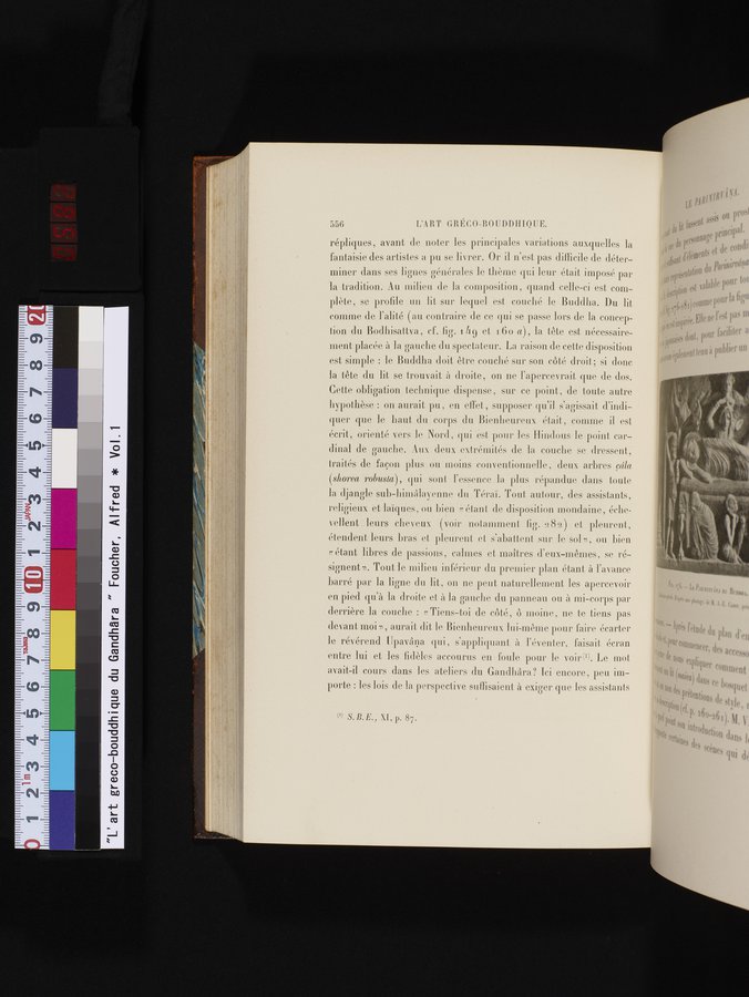 L'art Greco-Bouddhique du Gandhâra : vol.1 / 582 ページ（カラー画像）