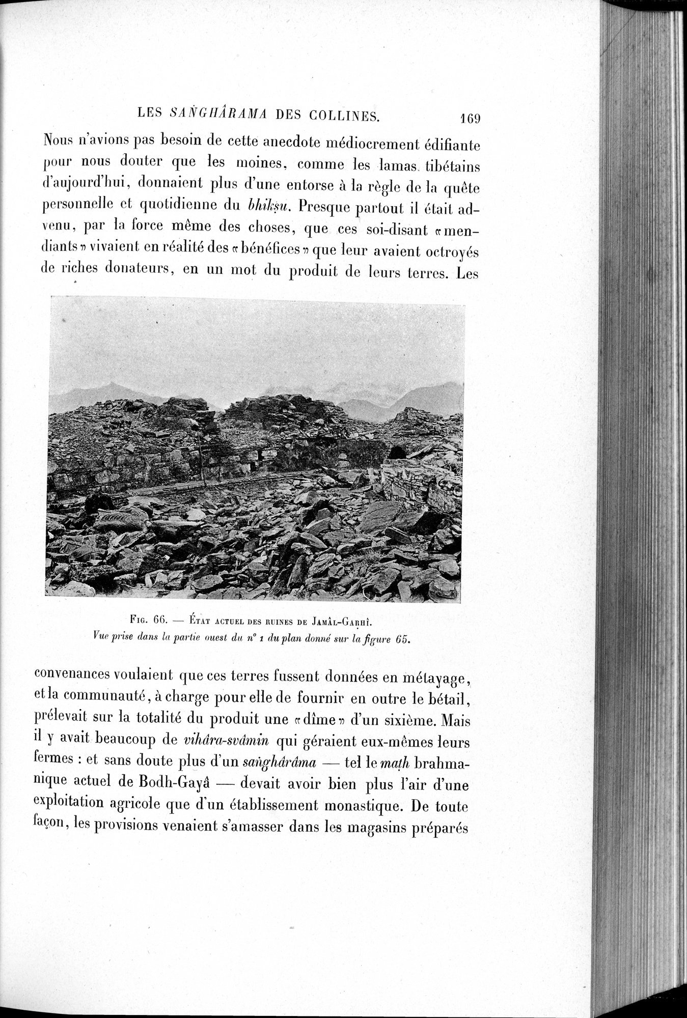 L'art Greco-Bouddhique du Gandhâra : vol.1 / 195 ページ（白黒高解像度画像）