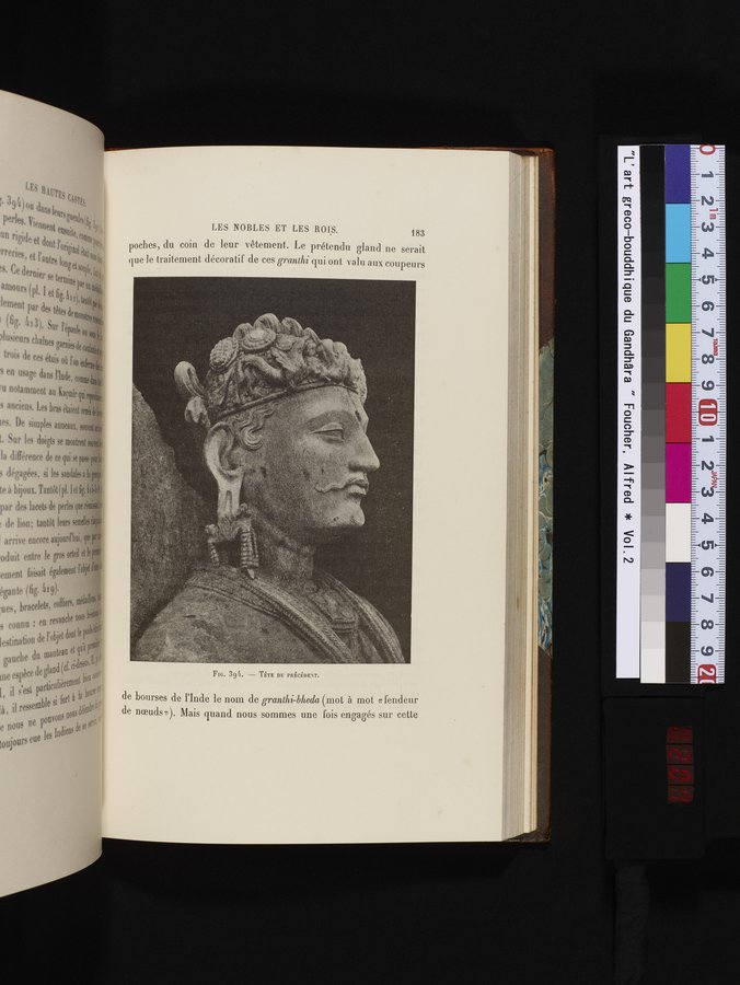 L'art Greco-Bouddhique du Gandhâra : vol.2 / Page 207 (Color Image)