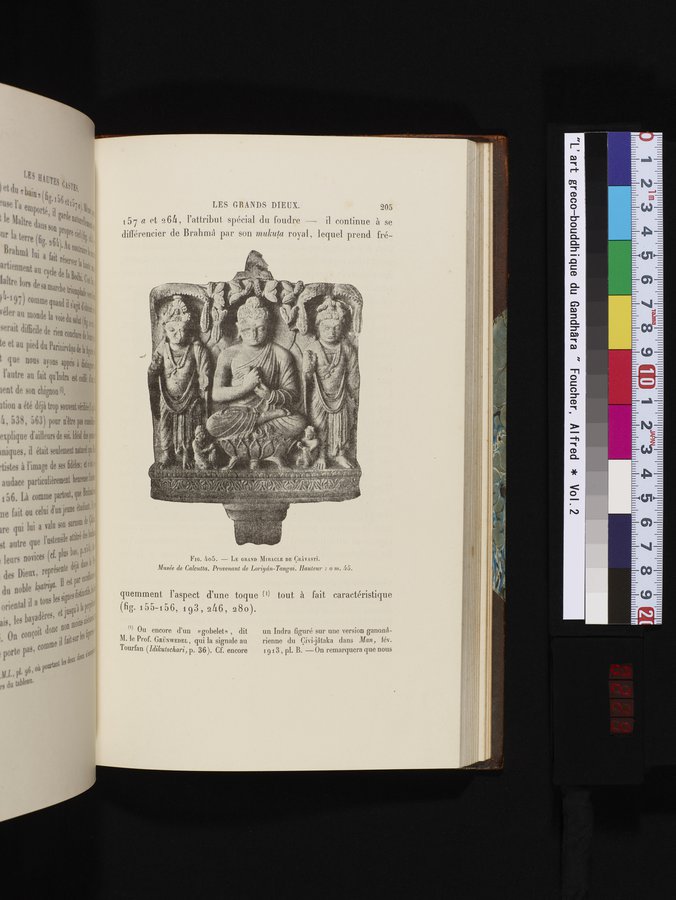 L'art Greco-Bouddhique du Gandhâra : vol.2 / 229 ページ（カラー画像）