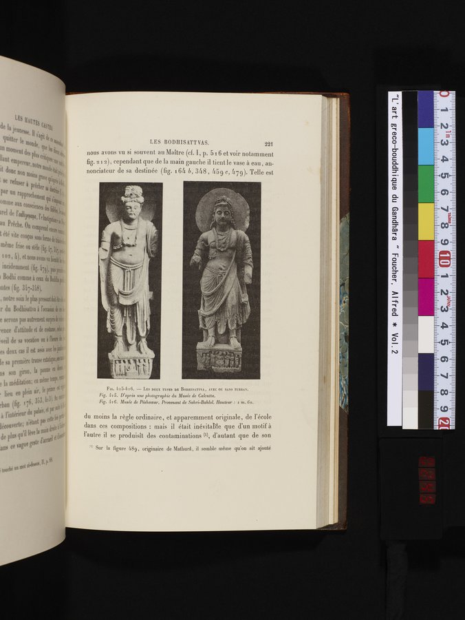 L'art Greco-Bouddhique du Gandhâra : vol.2 / 245 ページ（カラー画像）