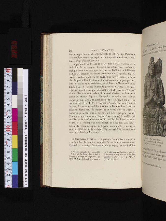 L'art Greco-Bouddhique du Gandhâra : vol.2 / 254 ページ（カラー画像）
