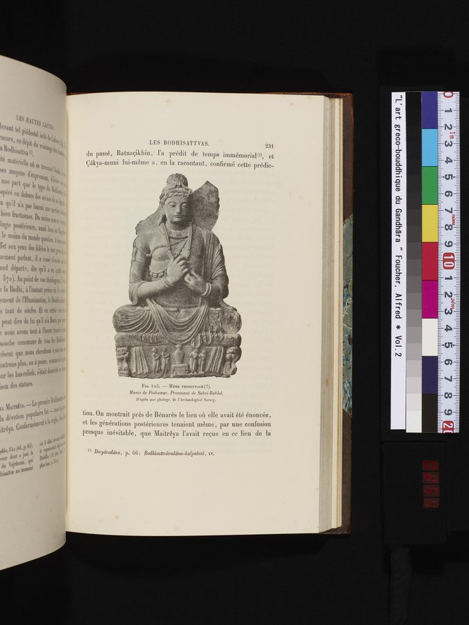 L'art Greco-Bouddhique du Gandhâra : vol.2 / Page 255 (Color Image)
