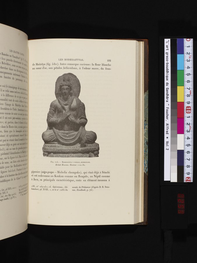 L'art Greco-Bouddhique du Gandhâra : vol.2 / 259 ページ（カラー画像）