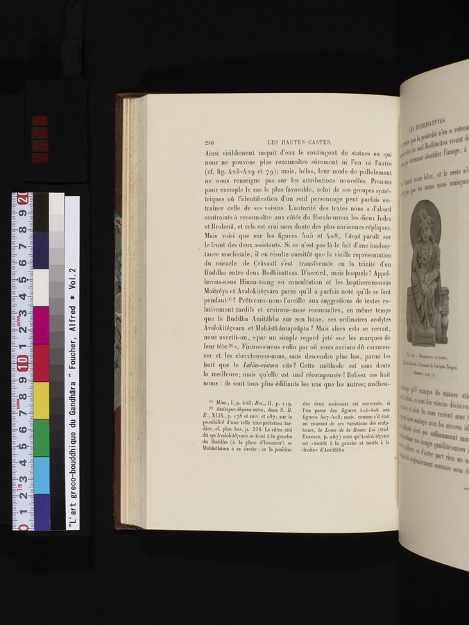 L'art Greco-Bouddhique du Gandhâra : vol.2 / 264 ページ（カラー画像）